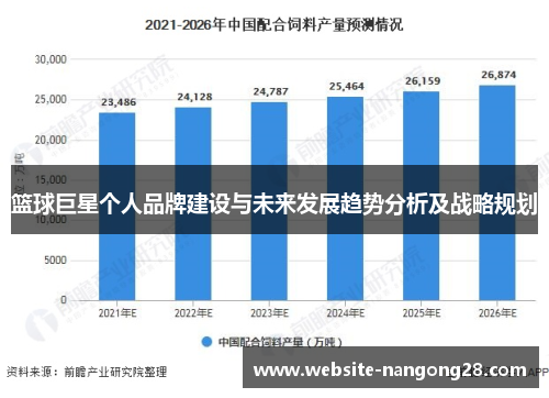 篮球巨星个人品牌建设与未来发展趋势分析及战略规划 篮球巨星个人品牌建设与未来发展趋势分析及战略规划