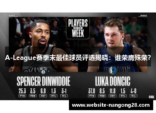 A-League赛季末最佳球员评选揭晓:谁荣膺殊荣? A-League赛季末最佳球员评选揭晓:谁荣膺殊荣?