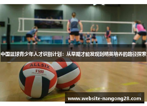 中国篮球青少年人才识别计划:从早期才能发现到精英培养的路径探索 中国篮球青少年人才识别计划:从早期才能发现到精英培养的路径探索