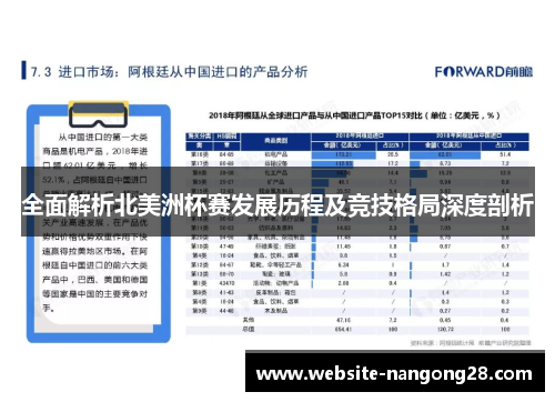 全面解析北美洲杯赛发展历程及竞技格局深度剖析 全面解析北美洲杯赛发展历程及竞技格局深度剖析