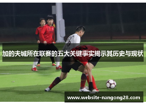 加的夫城所在联赛的五大关键事实揭示其历史与现状