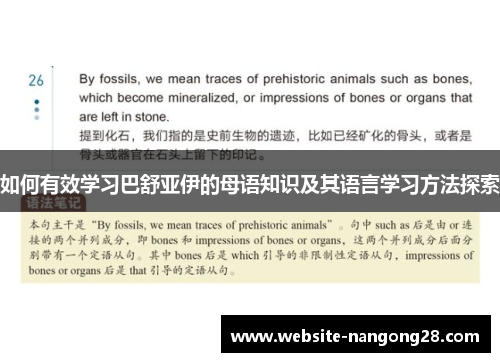 如何有效学习巴舒亚伊的母语知识及其语言学习方法探索