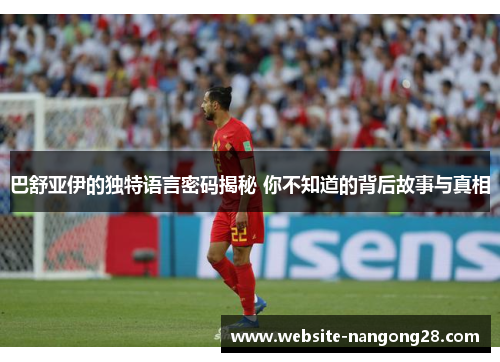 巴舒亚伊的独特语言密码揭秘 你不知道的背后故事与真相