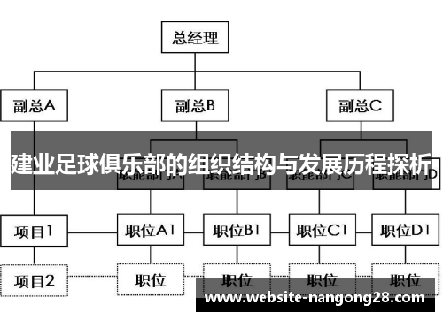 建业足球俱乐部的组织结构与发展历程探析