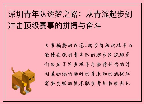 深圳青年队逐梦之路：从青涩起步到冲击顶级赛事的拼搏与奋斗